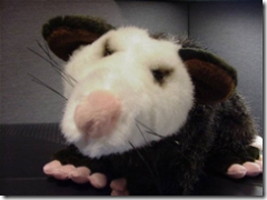 [Programming Possum]